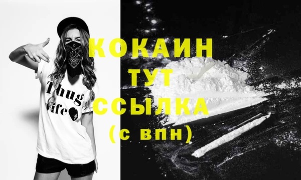 гашик Белоозёрский