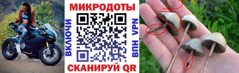 Псилоцибиновые грибы GOLDEN TEACHER  купить наркоту  hydra зеркало  Карабаш 